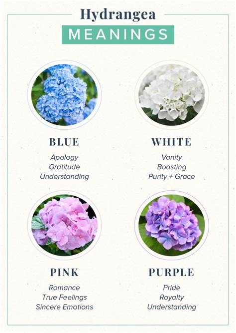 flowers meaning trust